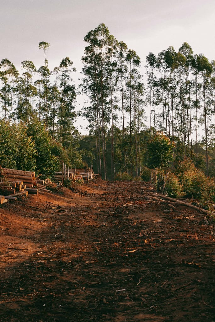 Connection Between Agriculture and Global Warming
