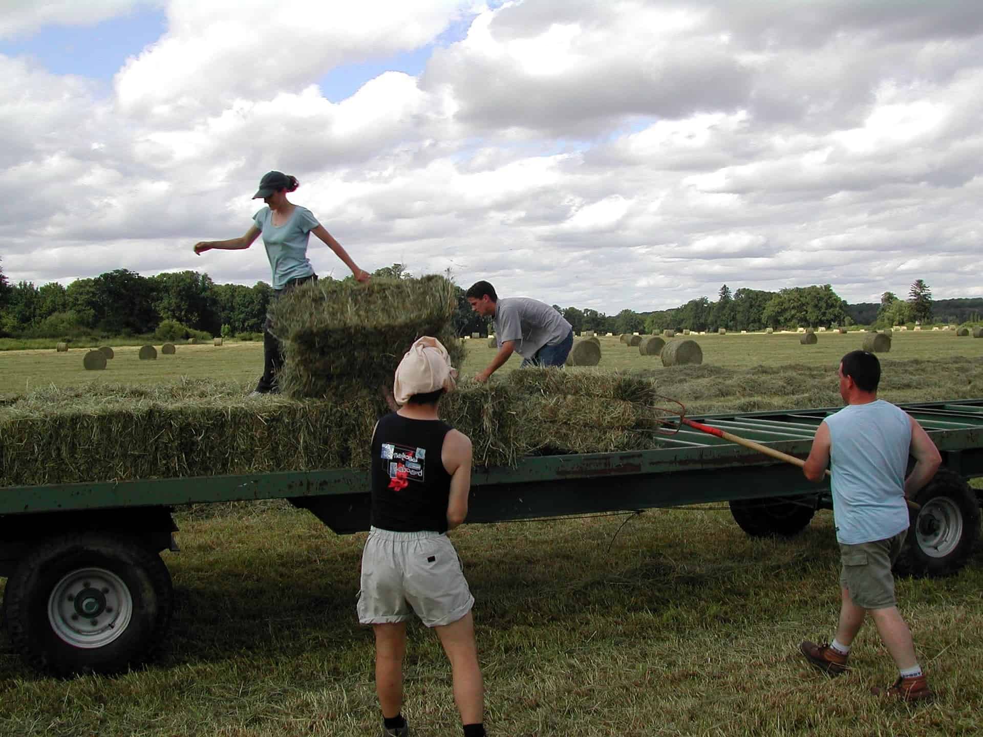 Connection Between Agriculture and Global Warming