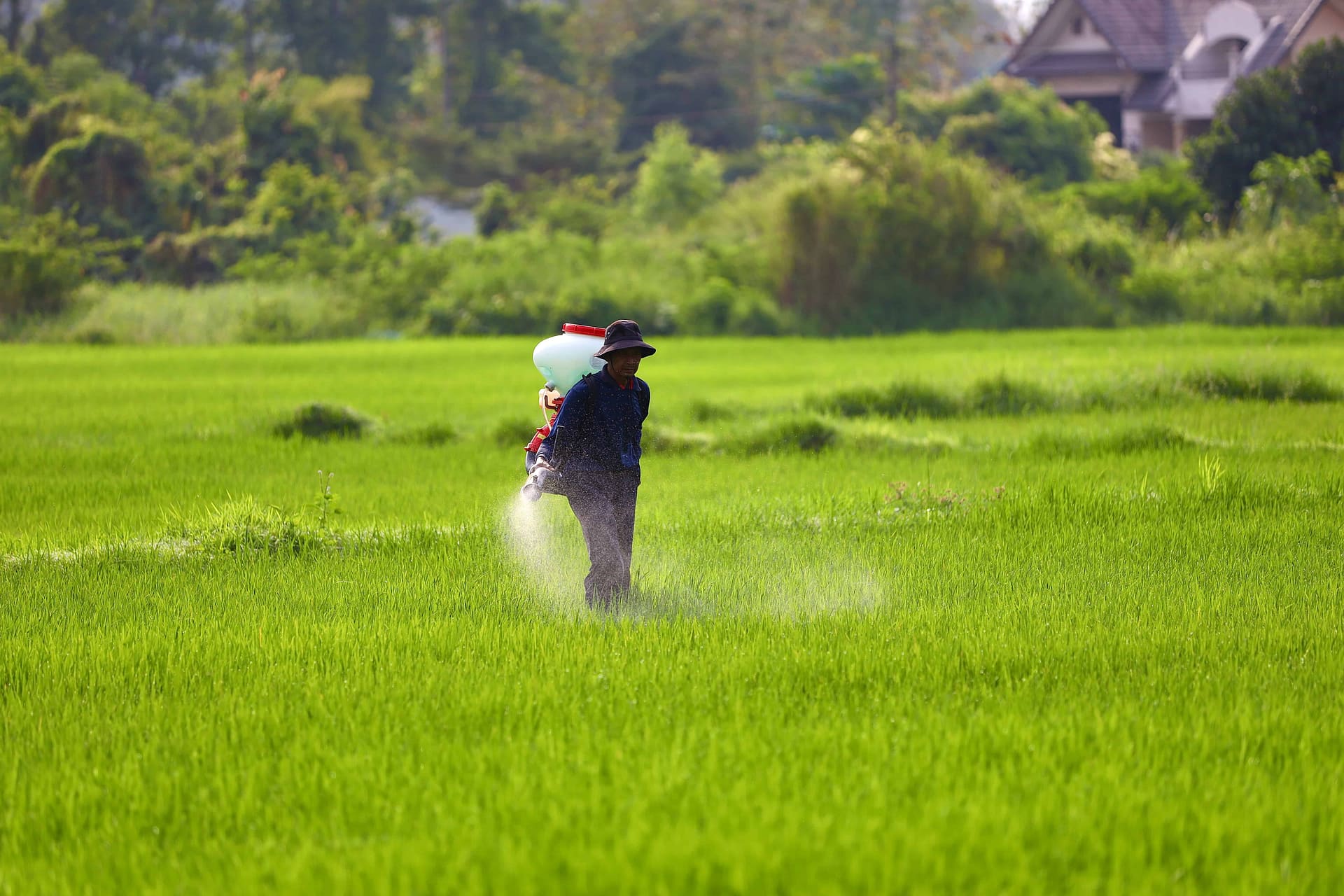 Connection Between Agriculture and Global Warming